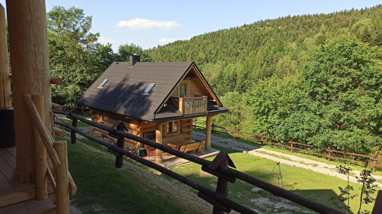 Osada Mala Kozowka Villa Мисленице Екстериор снимка