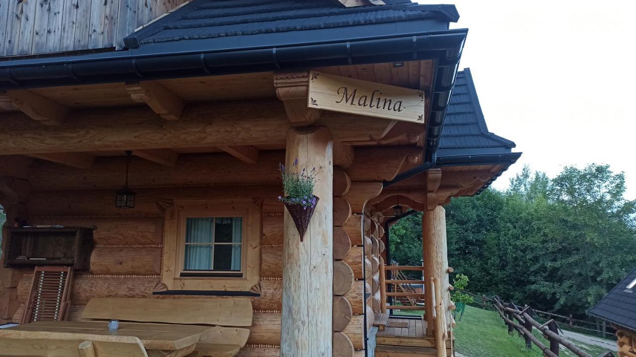 Osada Mala Kozowka Villa Мисленице Екстериор снимка