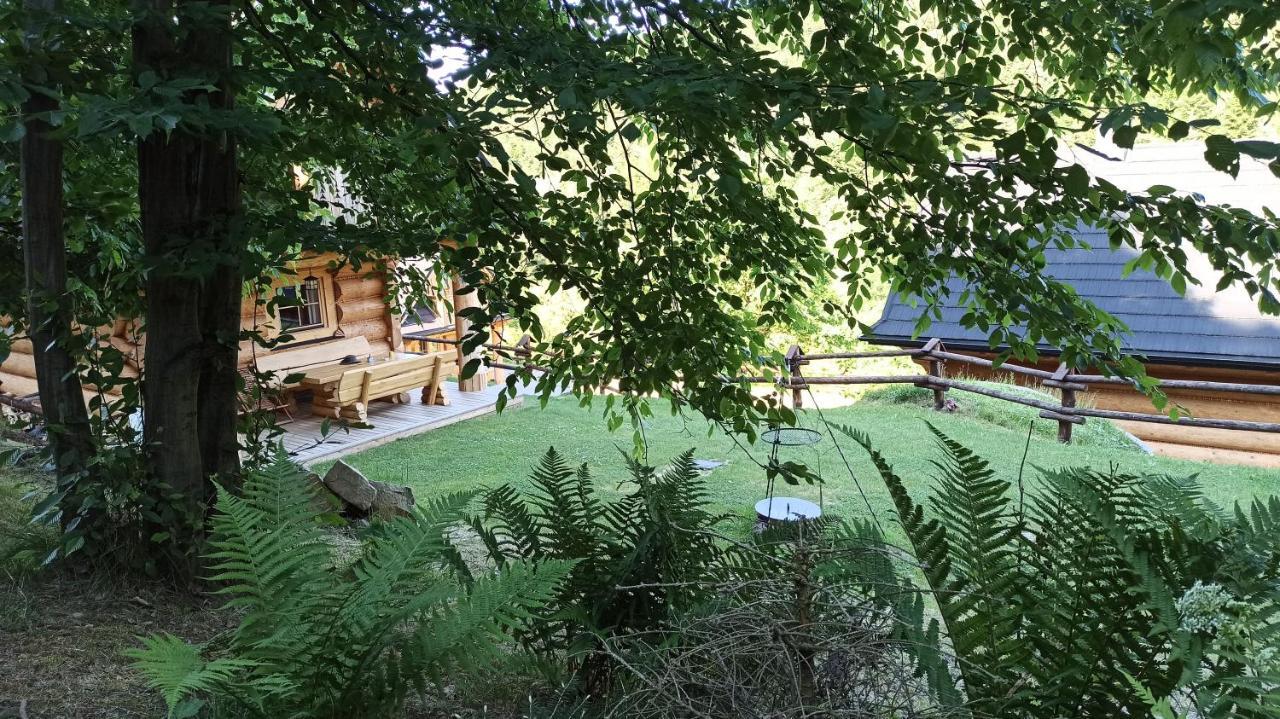 Osada Mala Kozowka Villa Мисленице Екстериор снимка