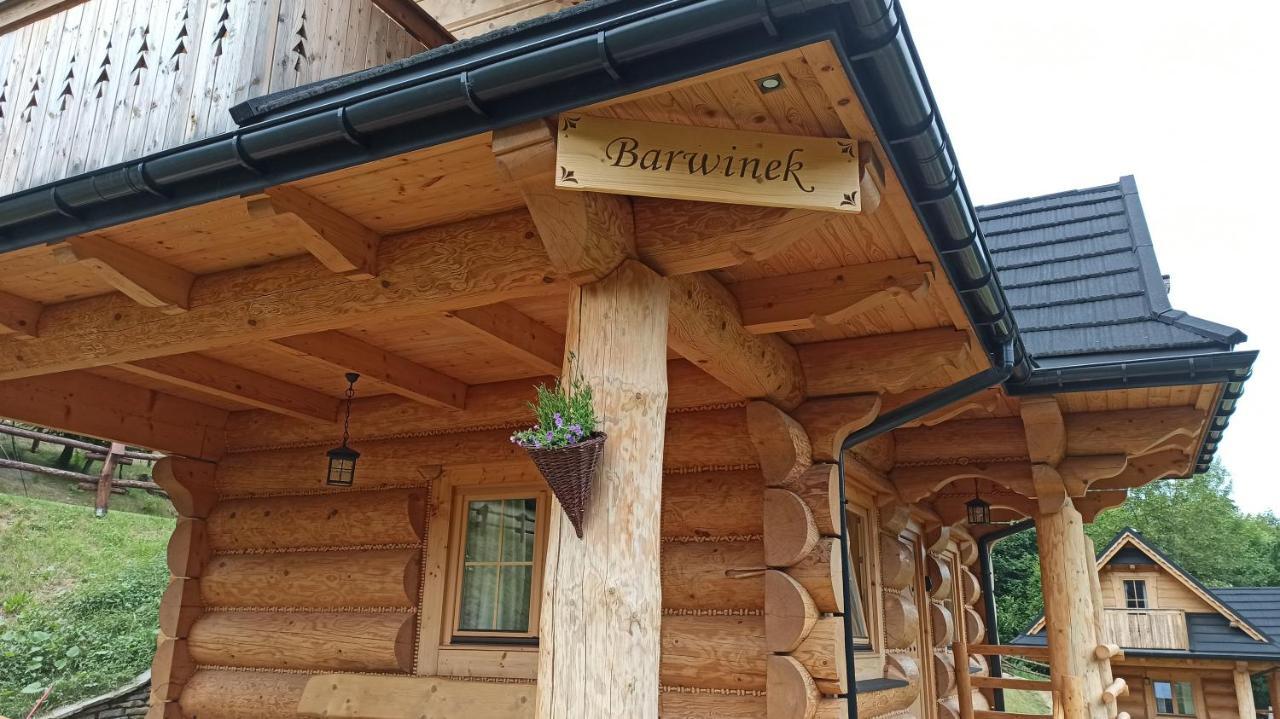 Osada Mala Kozowka Villa Мисленице Екстериор снимка