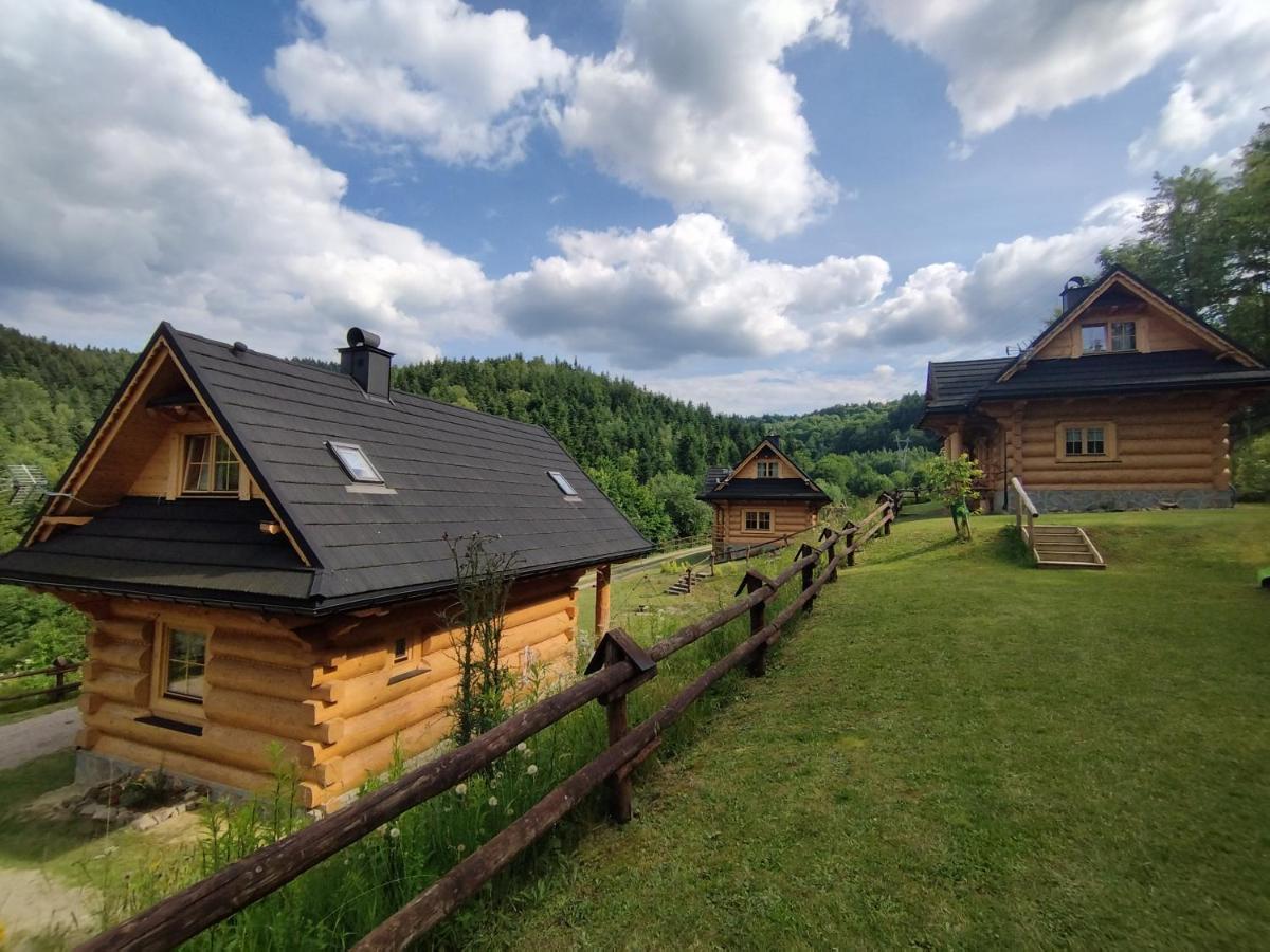 Osada Mala Kozowka Villa Мисленице Екстериор снимка